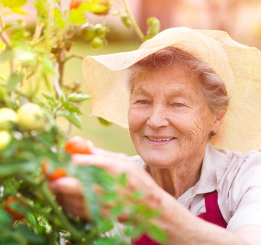 healthy-aging-image healthy-aging-image